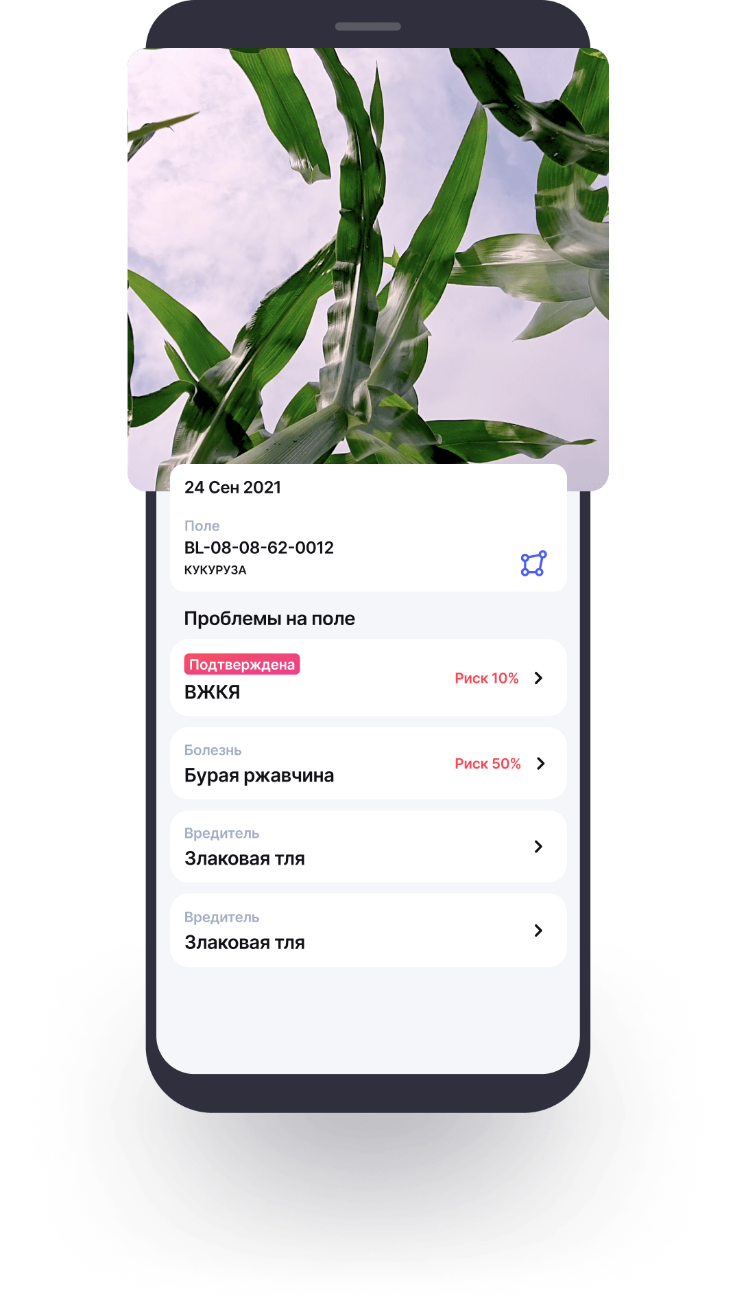 Интерфейс отчета АссистАгро
